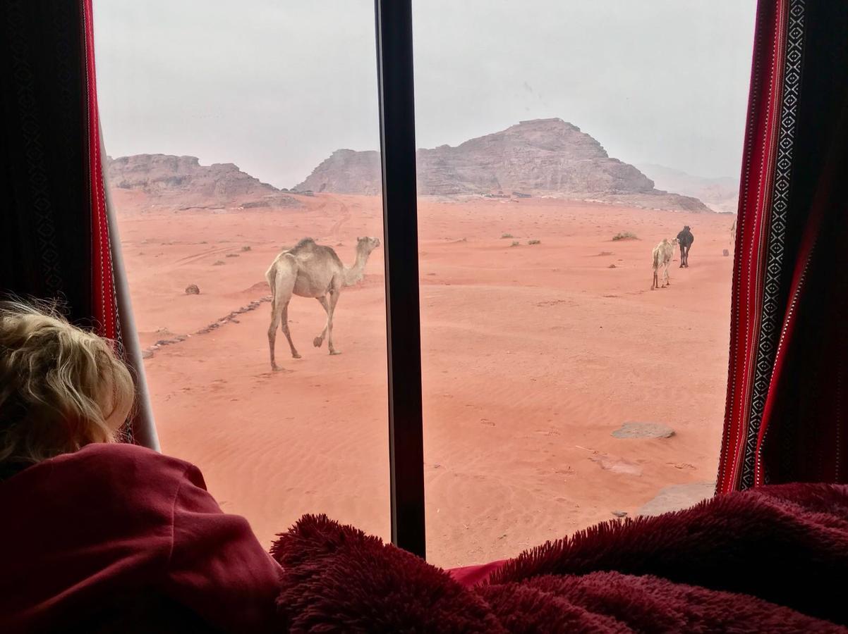 Wadi Rum Starlight Camp Extérieur photo